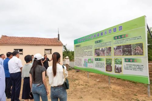 綠富雙贏 全市林下經濟產業(yè)發(fā)展觀摩活動暨種植技術開發(fā)新篇章