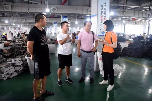 江蘇臺攝制組聚焦大龍，專題片攝制展現獨特風采